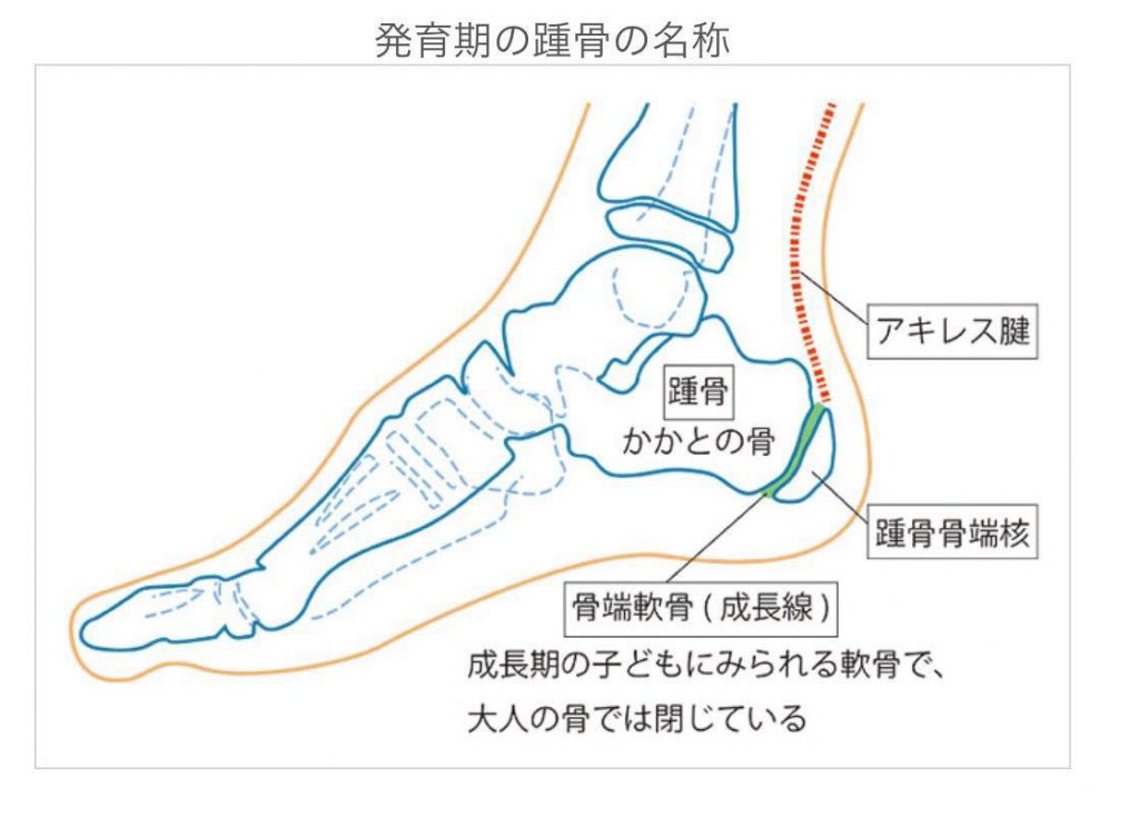 が 痛い 骨盤 腰が痛くなった時に、たった２つの動作で分かる腰痛の種類